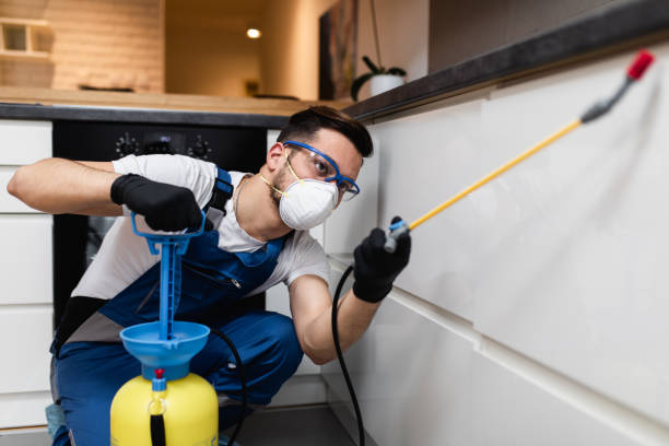 Best Pest Control Near Me  in Otsego, MI