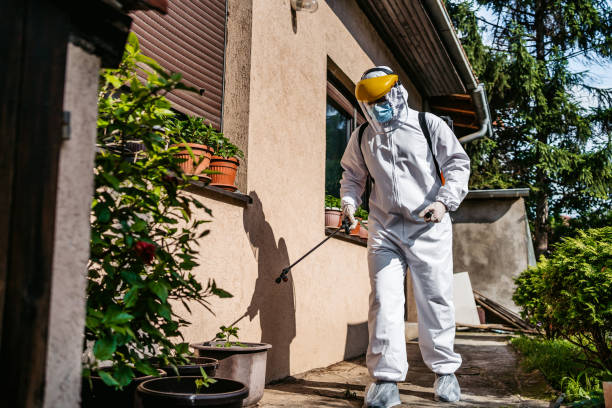 Best Spider Control Near Me  in Otsego, MI
