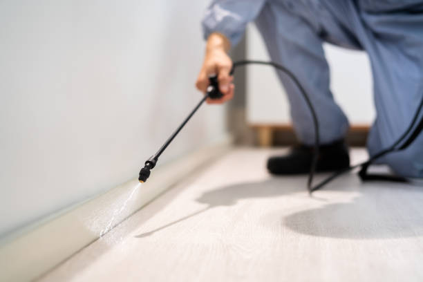 Pest Prevention Services in Otsego, MI