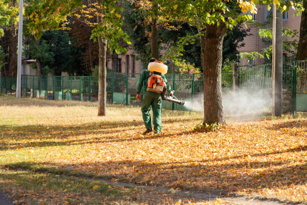 Professional Pest Control in Otsego, MI