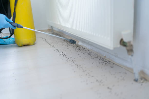 Best Insect Control  in Otsego, MI