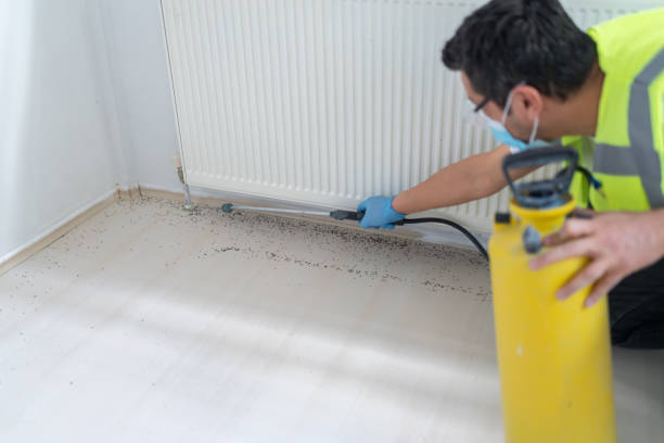 Best Mosquito Control Services  in Otsego, MI
